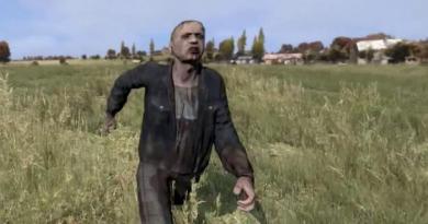 Maximum optimization of the DayZ mod and getting rid of brakes and lags