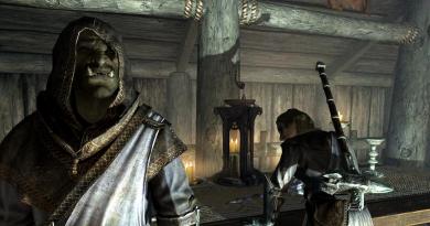 Improved guard dialogues - Atmosphere and environment - Mods and plugins for TES V: Skyrim