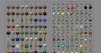 ნივთების ID Minecraft-ში და მათი კატეგორიები