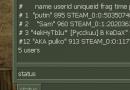 Steam ID CS 1.6 nima.  Steam_id-ni qanday topish va Steam ID-ni ko'rish.  Nima uchun Steam ID-ni bilishingiz kerak