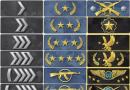Mg2 rank in cs go.  Titles (ranks) in CS:GO.  What rank is it no longer embarrassing to play with?