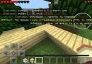 How to privatize a territory in Minecraft How to fill up a territory