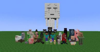 Minecraft what is it made from