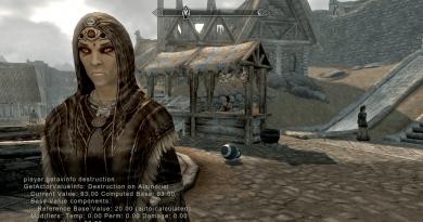 Hvordan fjerne firkanter i konsollen i Skyrim